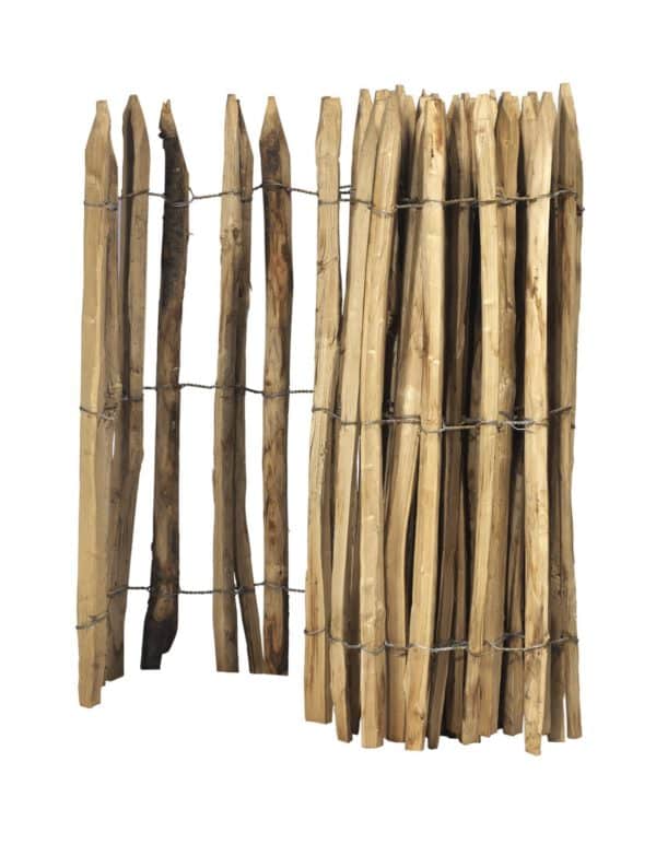 Rolhek Acacia