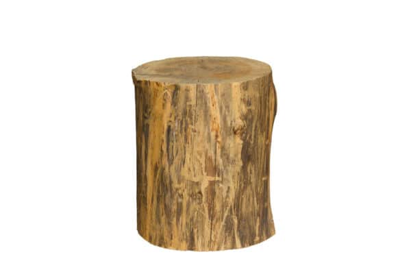 Eiken boomstam 30 cm doorsnede