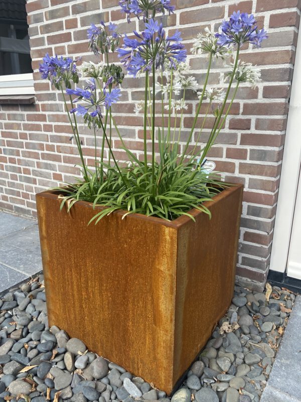 Cortenstaal plantenbak
